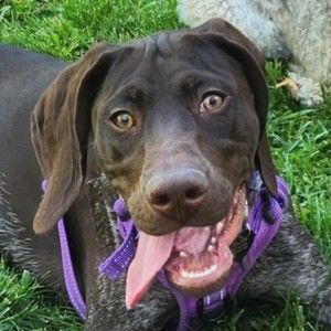 Meet your Posher, Lenda